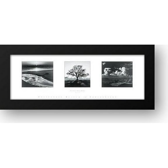 Trilogy 40x16 Framed Art Print by Adams, Ansel