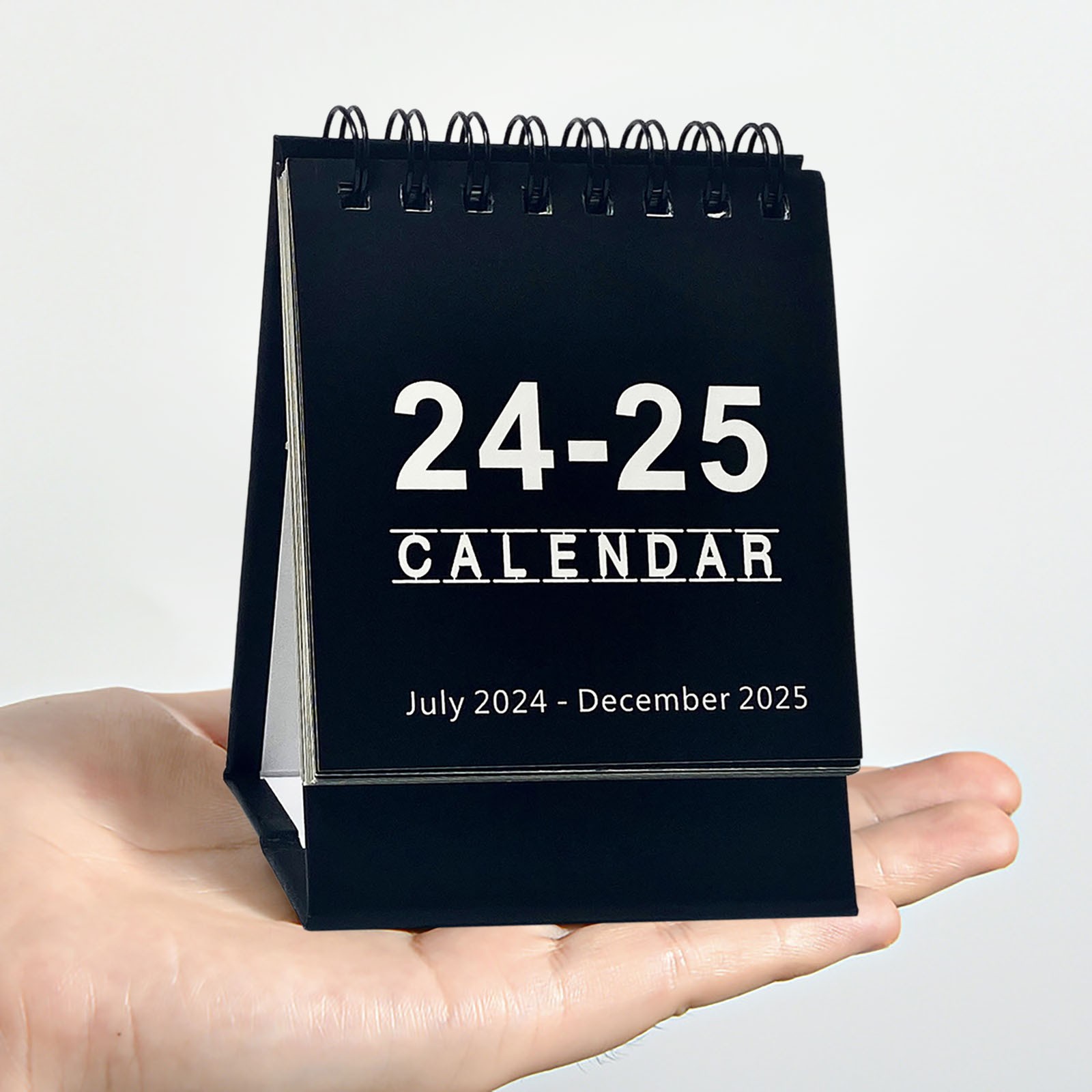 Daily Desk Calendar 2025 