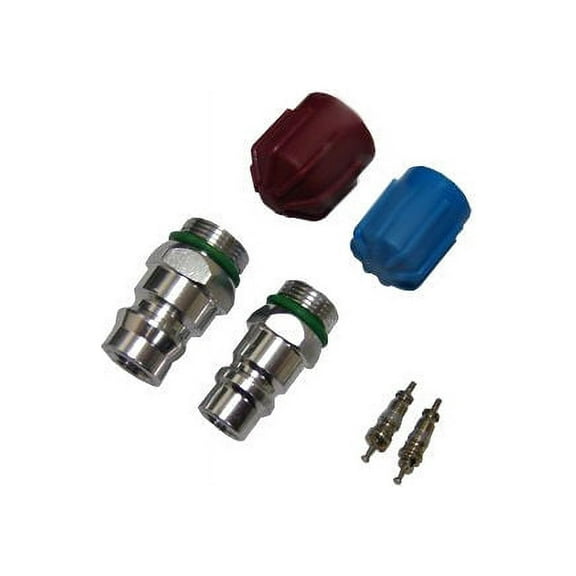A/C System Valve Core and Cap Kit - Compatible with 1994 - 2005 Buick LeSabre 3.8L V6 1995 1996 1997 1998 1999 2000 2001 2002 2003 2004