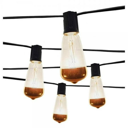 Smith Hawken Vintage Clear Bulb 10 Lights Indoor Outdoor String Smith Hawken Vintage Clear Bulb 10 Lights Indoor Outdoor String With Gold Tip On