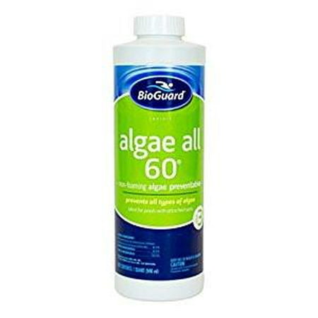 Bioguard Algae All 60 Pool Algaecide