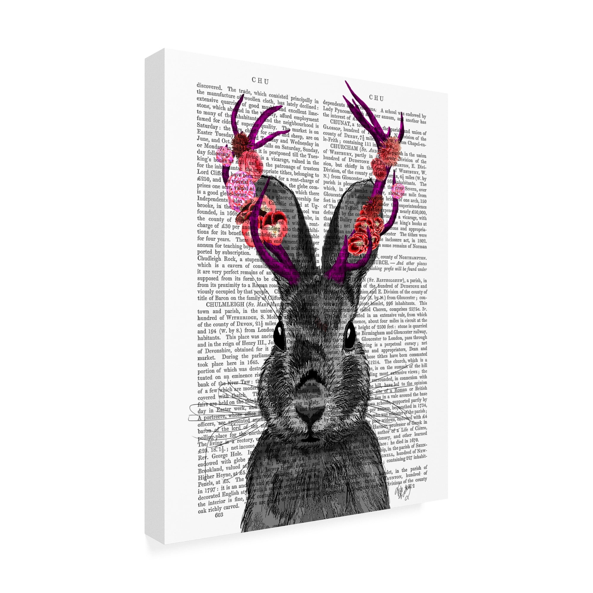Trademark Fine Art 'Jackalope With Pink Antlers' Canvas Art by Fab Funky