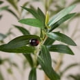 thumbnail image 3 of DR.Planzen Artificial Olive Tree 7 ft Tall Faux Floor Plant in Black Pot - Realistic Greenery with Adjustable Branches and Fruits - Indoor Home Office Decor for Living Room Apartment Workspace, 3 of 8
