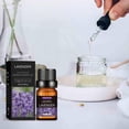 thumbnail image 4 of 20 Flavors Natural Essential Oils for Aroma Diffusers & Humidifiers, 10ml Water-Soluble Aromatherapy Fragrance Set for Home & Office Relaxation, 4 of 8