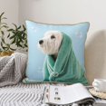 thumbnail image 6 of Kll Dog Wrapped In Towel Decorative Throw Pillow Covers Velvet Soft For Couch Sofa Bedroom Living Room Outdoor -18"X18", 6 of 8