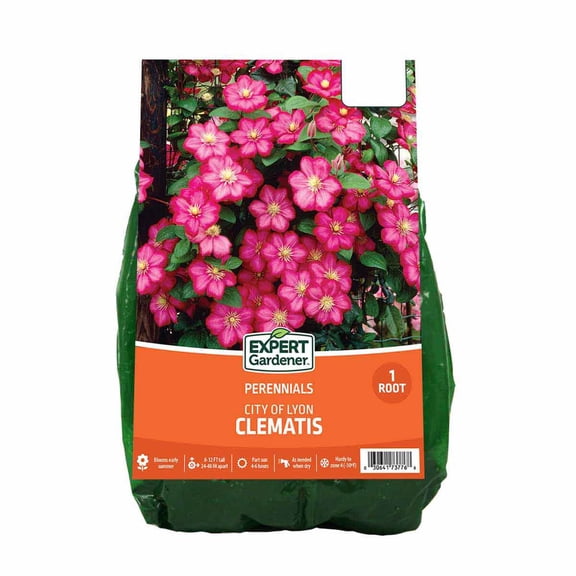 Expert Gardener Clematis City of Lyon (1 Dormant Bare Plant Root) Partial Sun, Pink, Perennial
