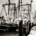 thumbnail image 2 of Hausenflock, Alan 20x20 Black Ornate Wood Framed with Double Matting Museum Art Print Titled - Cape May Fleet II, 2 of 4