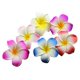 thumbnail image 1 of Calcifer 30 clips hawaianos de flores de plumeria hawaiana de 1,97 pulgadas para novia, boda, fiesta, playa, 1 of 1