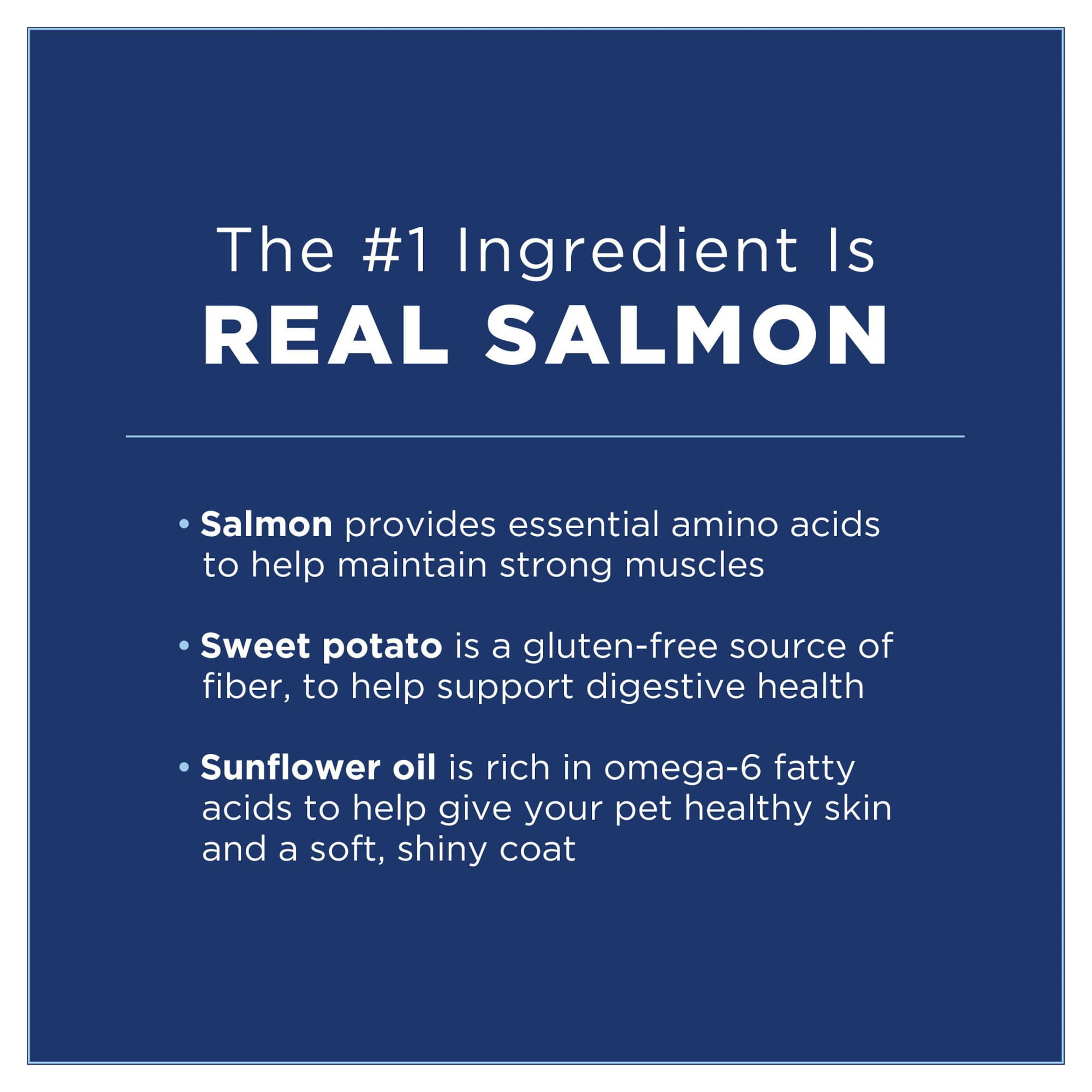 Natural Balance L.I.D. Limited Ingredient Diets Salmon Sweet Potato Formula Dry Dog Food 12 Pounds Walmart