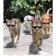thumbnail image 2 of 2 Pairs Black Novelty Rimless Thug Life Meme Sunglasses - 8 Bit Pixel, 2 of 2
