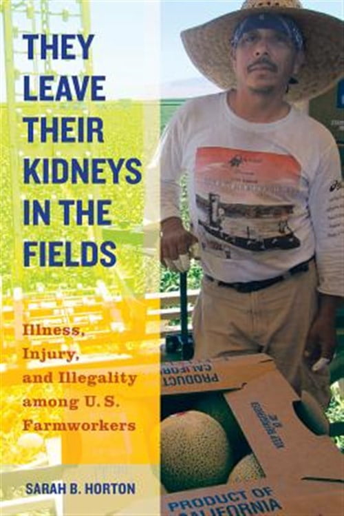 Pre-Owned They Leave Their Kidneys in the Fields: Illness, Injury, and Illegality Among U.S. Farmworkers Volume 40 (Paperback) 0520283279 9780520283275