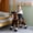 Chocolate, variant on WondeRides Kids Ride on Rocking Toy Riding on horse Plush Gifts for Boys and Girls with Wheels M345