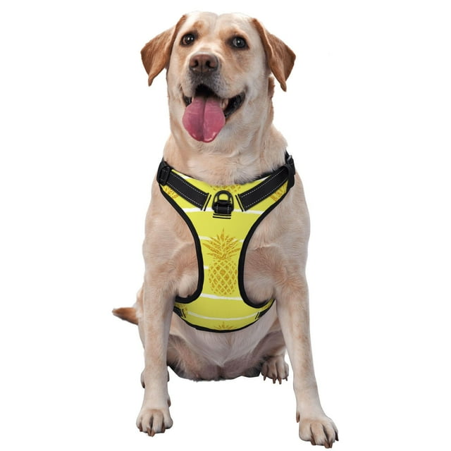 Cauagu Gold Pineapple Pattern Reflective Dog Harness, No-Pull Adjustable Dog Vest Pet Walking Vest No-Choke Pet Vest for Small, Medium & Large Dogs -Medium
