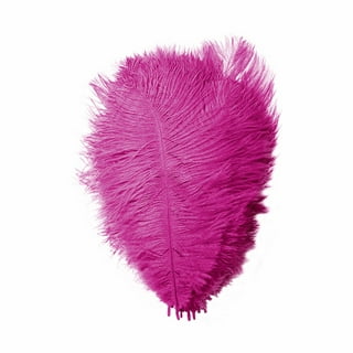 5-7 Inch Orchid Purple Feathers. Long Pink Goose Feathers for Children's  Crafts and Making Halloween Masks. Pale Colored Smooth Feathers 