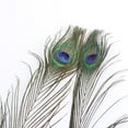 thumbnail image 5 of Farfi 10Pcs Peacock Feathers Attractive DIY Creation Natural Peacock Eye Tail Feather for Party (See description), 5 of 9