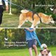thumbnail image 4 of Correas elásticas para perros con asa acolchada suave Correa para perros antitirones ajustable con hebilla para cinturón de seguridad, correas para perros, cuerda elástica para per, 4 of 4