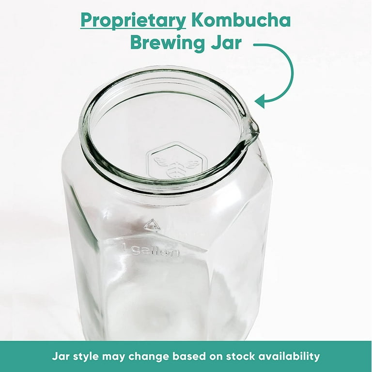 Craft A Brew Kombucha Tea Starter Kit | 1 Gallon Capacity | Complete Home  Brewing Starter Kit for Crafting Fresh and Healthy Kombucha | Includes  SCOBY