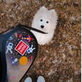 thumbnail image 5 of Retractable Dog Leash | Heavy Duty Pet Walking Leash with Anti-Slip Handle | One Button Brake, Pause & Lock - Suitable for Dogs & Cats, 5 of 38