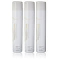 Sebastian Shaper Hair Spray 10.6 OzPack Of 3