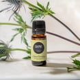 thumbnail image 2 of Edens Garden Cajeput Essential Oil- 100% Pure Premium Grade, Undiluted, Natural, Therapeutic, Aromatherapy, The Best For Diffuser, Skin, Hair, Humidifiers 10 ml (.33 fl oz), 2 of 9