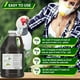 thumbnail image 4 of Aceite de Neem Orgánico Certificado Multiusos con Envío Rápido, 4 of 9