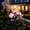 Pink, variant on Solar Hydrangea Lights, Fairy Hydrangea Lights, Ip65 Waterproof Colorful Led Flower Light, 15h Lighting Time for Pathway Patio Yard Garden Decor(White,1)