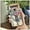 Gold, variant on LYM-Phone Case For TCL 10 5G UW, Dirt-resistant protective Cover Back Cover Cute Waterproof Shockproof Anti-knock Full wrap Cartoon Durable TPU Anti-dust Fashion Design Silicone