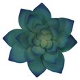 thumbnail image 1 of Three Dimensional Porch Wall Art Decor Accent Wall Hanging Dark green, 1 of 7