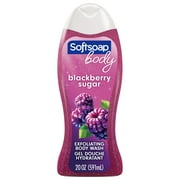 Softsoap Exfoliating Body Wash, Blackberry Sugar - 20 Fluid Ounce