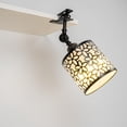 thumbnail image 3 of KAYYELAMP Black Metal Flower Pattern Shade Clamp RGB Dimmable Lighting 9.8Ft Plug Outlet Cable Vintage Design Clip On Desk Bedsides Bookshelf Splint Billboards 1Pcs, 3 of 6