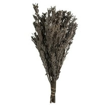 Vickerman 18-20" Silver White Pubescens, 5 oz Bundle, Preserved