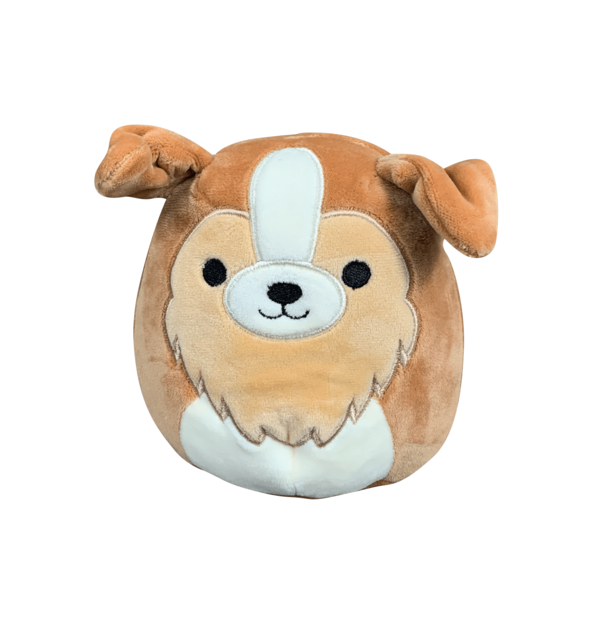 dog squish mellow dog squish mellow