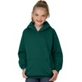 thumbnail image 1 of Hanes Chandail à Capuchon pour Jeunes ComfortBlend EcoSmart, 1 of 1