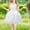 White, variant on Odeerbi Toddler Girls Summer Sparkly Sequin Princess Dress Cute Tulle Tiered Dress Party Satin Halter Dress Cute Sleeveless Dress Toddler Girls Clothes