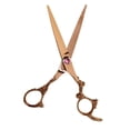 thumbnail image 1 of Tijeras de pelo Zulema de acero inoxidable para peluquero 6,69'' Tijeras de adelgazamiento, 1 of 8