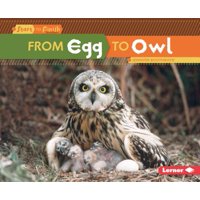 From Egg to Owl