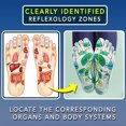 thumbnail image 4 of Acupressure Socks Massage Tired Feet, Reflexology Socks, 4 of 9