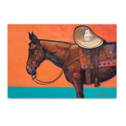 Horse Postcards - 4 x 6 Western Postcards - 40 Equestian Postcards - 17031