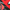 Black Red, variant on Disney Cars Toddler Boys High Top