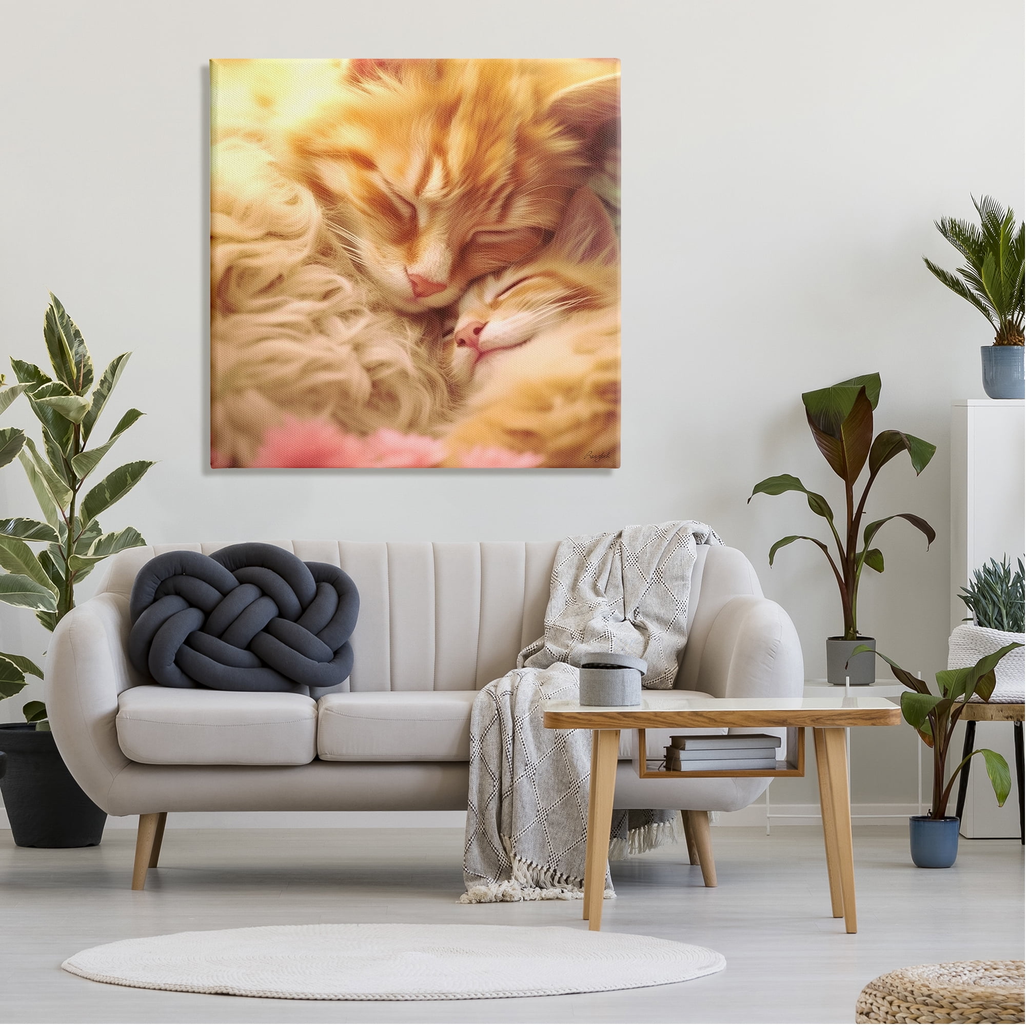 Stupell Industries Sleeping Orange Cats Animals & Insects Painting Gallery Wrapped Canvas Art Print Wall Art, 36 x 36