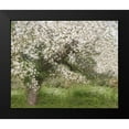 thumbnail image 2 of Kerber, Jutta 14x12 Black Modern Framed Museum Art Print Titled - Apple Tree, 2 of 5