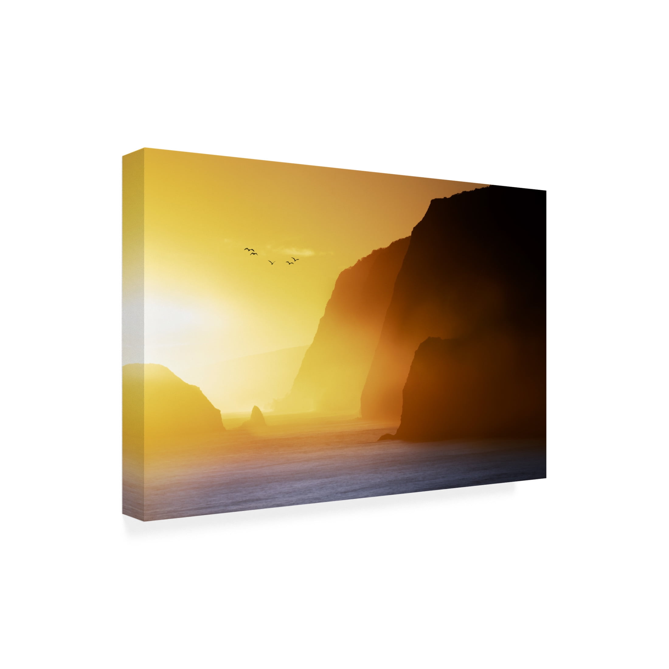 Canvas Wall Art - Dennis Frates 'Pololu Valley With Sunrise And Birds' Wall Art for Living Room, Bedroom, or Office Décor by Trademark Fine Art - 47 x 30 Inches