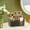 Black, variant on Makeup Organizer and Cosmetic Storage Box, Durable Transparent Plastic Case for Makeup Brushes, Eyeshadow Palettes, Beauty Products Organization, Portable Design