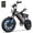 Black, variant on URLIFE 16"*3.0 Electric Bike for Adult,750W Rated Motor,20Mph Max Speed,48V 13Hh Removable Battery,Fat Tire E Bike,80Miles Range,UL2849