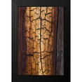 thumbnail image 2 of Mahan, Kathy 11x14 Black Modern Framed Museum Art Print Titled - Pine Patterns II, 2 of 5
