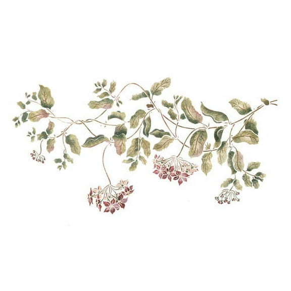 Hoya Vine Wall Stencil - DEE225 by DeeSigns