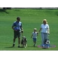 thumbnail image 4 of Pet Toy Aerobie Dogobie Disc, 20 cm, duradero para perros, 4 of 4