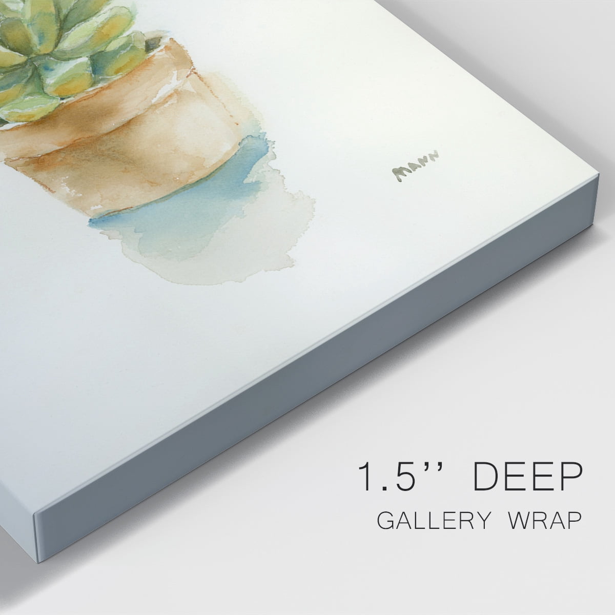 Succulent II Premium Gallery Wrapped Canvas - Ready to Hang