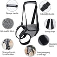 thumbnail image 3 of Dog Lifting Harness, Dog Support Harness For Back Legs, Soft Dog Support Sling For Injured Disabled Dogs, 3 of 5
