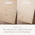 thumbnail image 2 of Chris Loves Julia x Loloi Palma Natural / Spice 5'-3" x 7'-6" Area Rug, 2 of 6